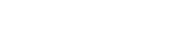Damond Motorsports logo white