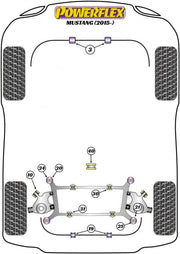 Powerflex-Ford Mustang Rear Differential Mount Rear Bushing Insert- at Damond Motorsports