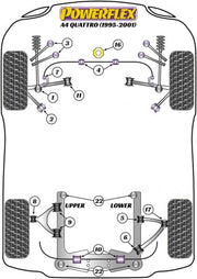 Powerflex-Audi A4 / S4 / RS4 Rear Sway Bar Bushing - 16 mm- at Damond Motorsports