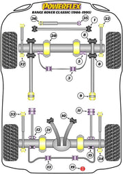 Powerflex-Land Rover Defender Radius Arm Rear Bushings for Lift Kits- at Damond Motorsports